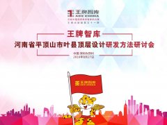 【第51期】王牌智庫河南省平頂山市葉縣頂層設計研發方法研討會