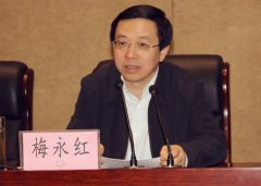 王牌閱官 || 辭職市長梅永紅：很多官員對企業家那種氣勢令人心寒