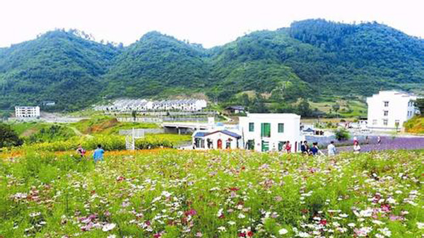 王牌智庫||政策解讀：重塑城鄉關系鄉村振興可期