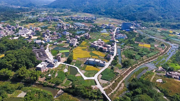 王牌智庫||鄉村振興戰略，賦能美麗鄉村