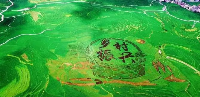 鄉(xiāng)村滿目好風(fēng)光——河南省村莊規(guī)劃的新探索和新實踐