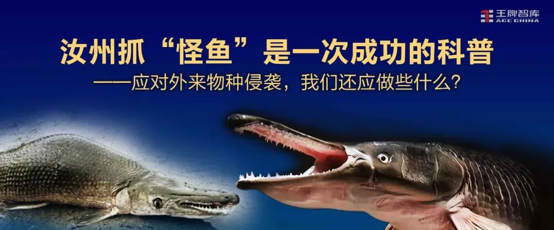 汝州抓“怪魚”是一次成功的科普：應對外來物種侵襲，我們還應做些什么？