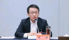 肥西縣委書記陳偉凌晨“7分鐘講話視頻”，火了！