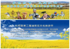 安徽樅陽打造“承恩故里”文化IP為何惹爭議？