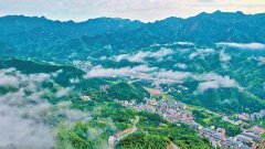 中紀委大筆桿子李雪勤談調研：為什么我一輩子記住“干部魚”？