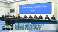 打好打贏這場“關鍵戰”！省委書記提要求，省長現場作輔導報告