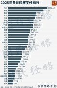 10萬億中央轉移支付，都被誰拿走了？