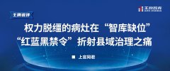 權力脫韁的病灶在“智庫缺位”，“紅藍黑禁令”折射縣域治理之痛丨王牌銳評